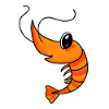 Shrimp shrimp