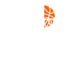 Basketball Basketball Basketball Team