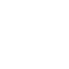 Strawberry Icon Icon
