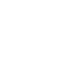 Cow Bull Skull