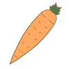 carrot vegetables