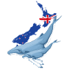 Buckelwal Neuseeland