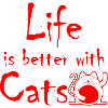 Cat Katze