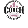 Cheer Cheerleading Coach Because