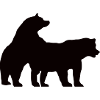 real bears