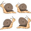 Snails