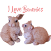 Rabbit Couple, I Love Rabbits