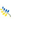 Friedenstaube Ukraine