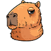 Capybara capybara rodent