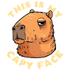 Capybara capybara rodent