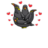 Beo Bird Mynah Bird Lovers