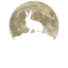 Rabbit Moon Forest Animals Animal Lover Gift