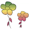 flower flowers