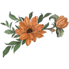 Flower Orange with Bud