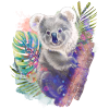 Koala | Koala Bär