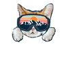 The meowtains are calling