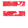 Austria Austrian Flag - Football