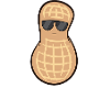 Peanut - Be Cool, sunglasses