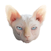 SPHYNX