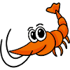 Shrimp shrimp