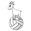 Bock sur volleyball - Chèvre Chèvre