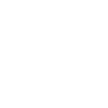 Cow Bull Skull