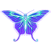 Papillon violet