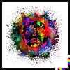 Paix Harmonie Chaos