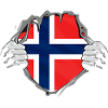 Drapeau norvégien Norvège