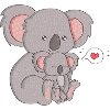Koala Bear Famille Koala