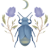Beetle