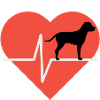 Dog love