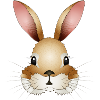 Hand-drawn rabbit head