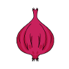 Onion