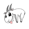 Chèvre Chèvre Buck