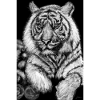 Tiger007