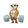Erdmännchen Gewichtheben Fitness-Studio