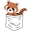 Red Panda