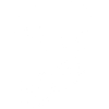 Lézard Passionné Reptile Lézard Lézard