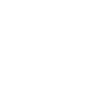 Gun