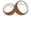 Coconut Open Coconut Coconut Coconut