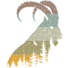 Capricorn