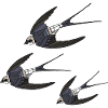 Vögel