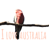 I Love Australia