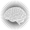 Design Rays Brain