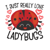 Ladybug Ladybug Entomology Insects