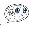 bacterium biology