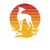 Greyhound Greyhound Gift