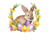 Easter Easter Happy Easter