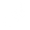 Lion Head Line Art Design